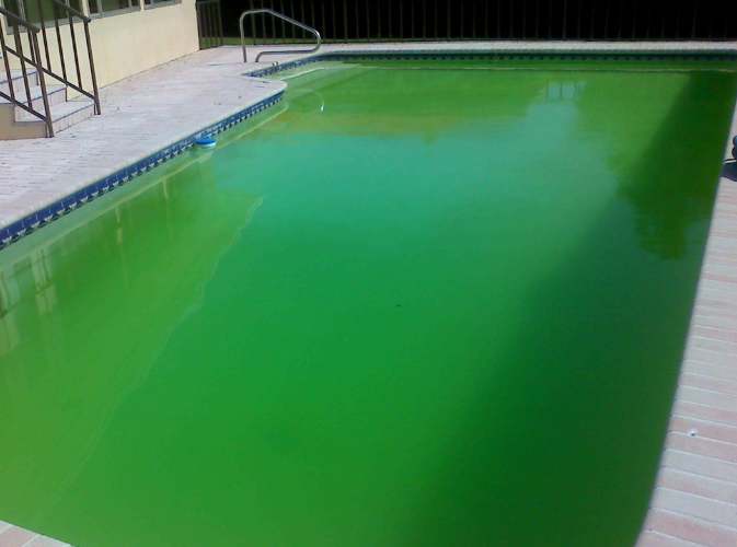 green pool